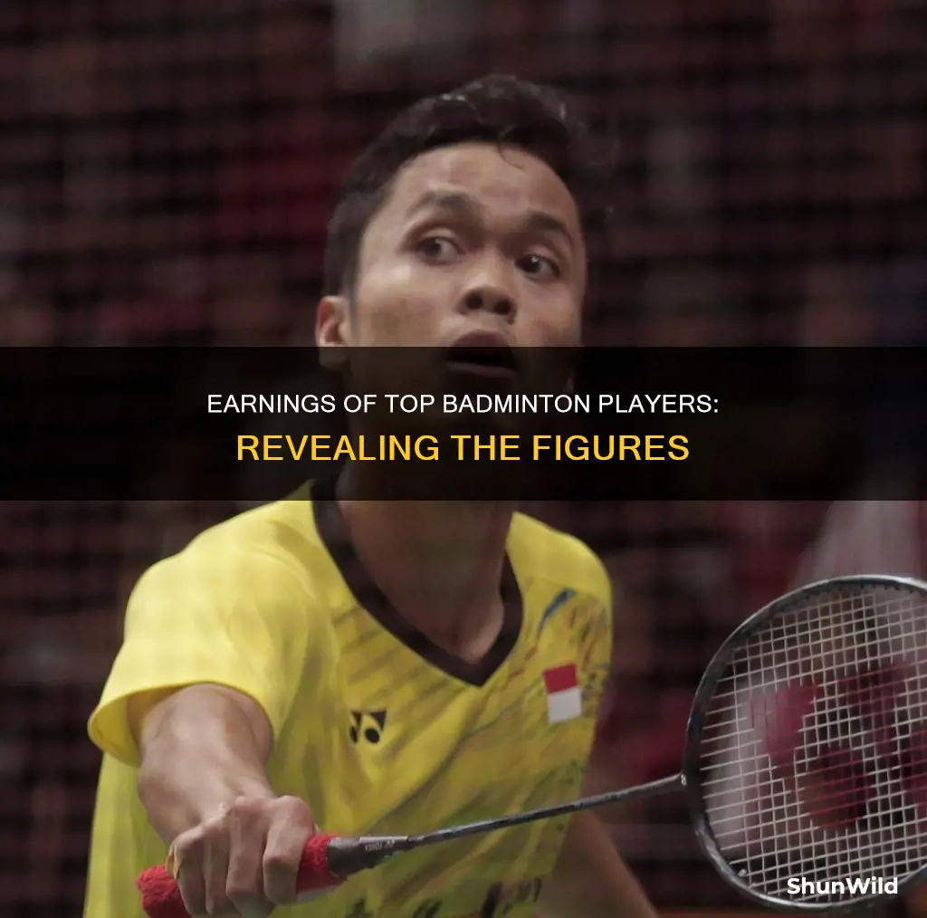 how much does a professional badminton player make a year