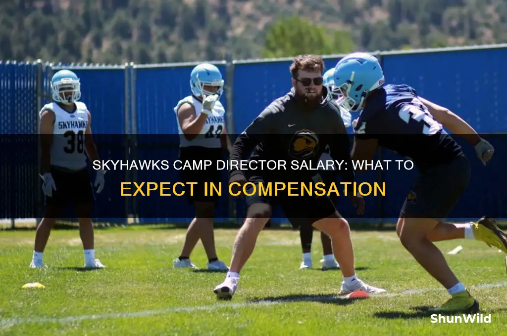 how much does a skyhawks camp director make