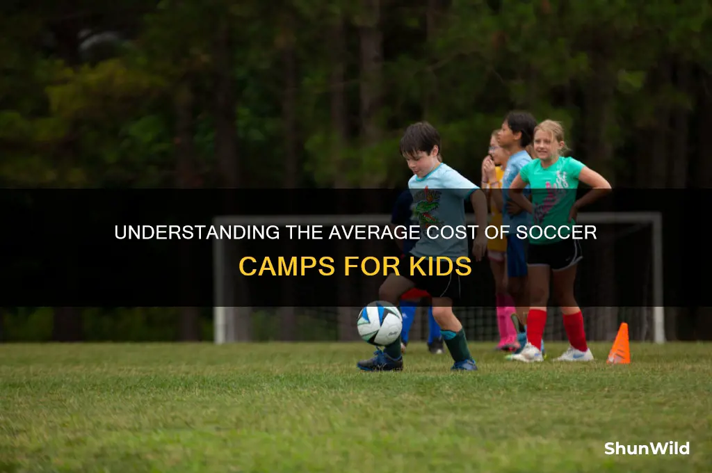 how much does a soccer camp cost