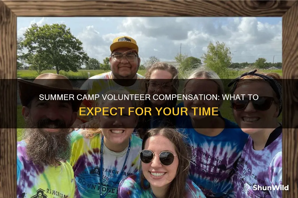 how much does a summer camp volunteer usley get compensated