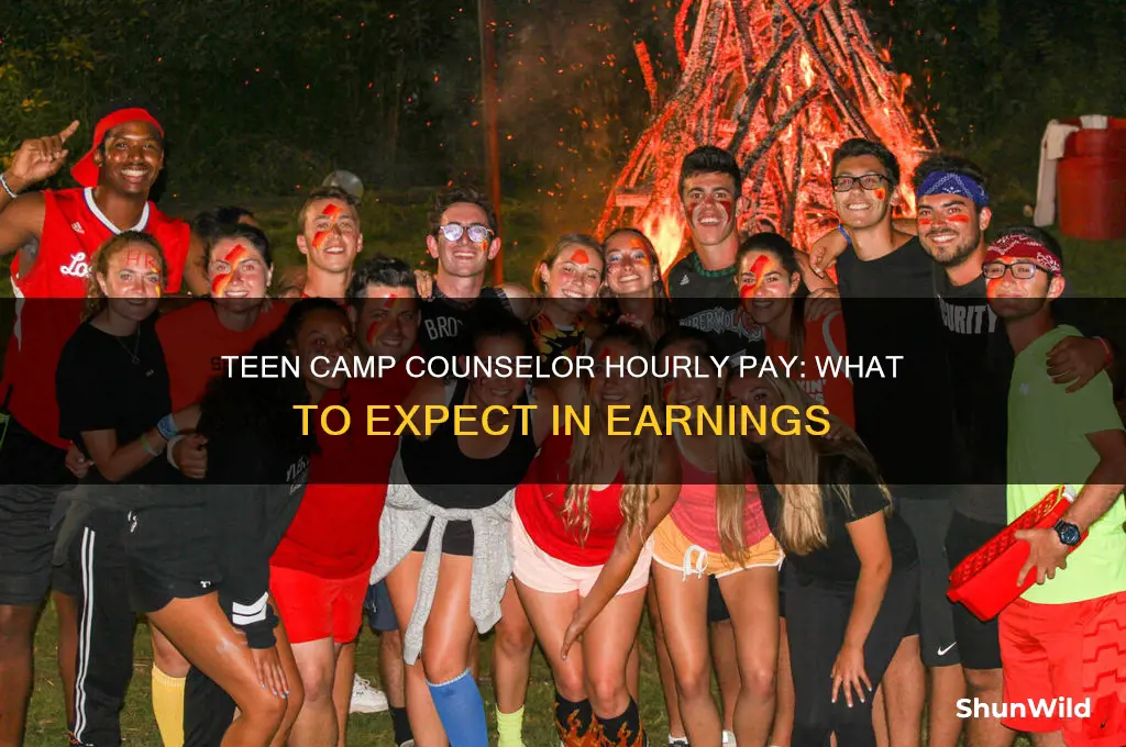 how much does a teen camp counselor make per hour