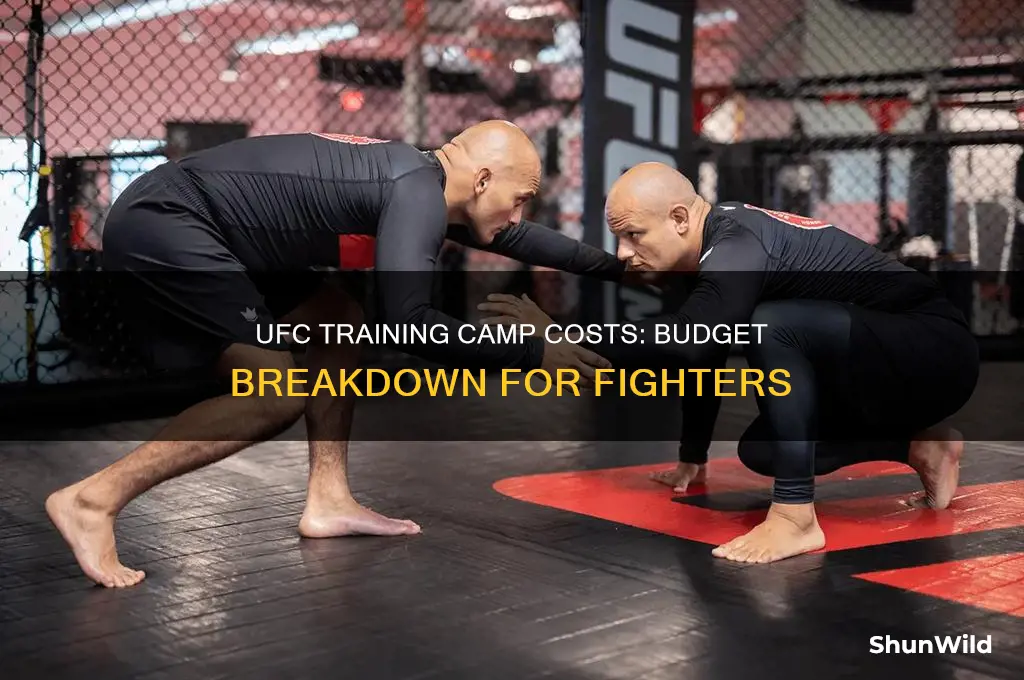 how much does a ufc training camp cost