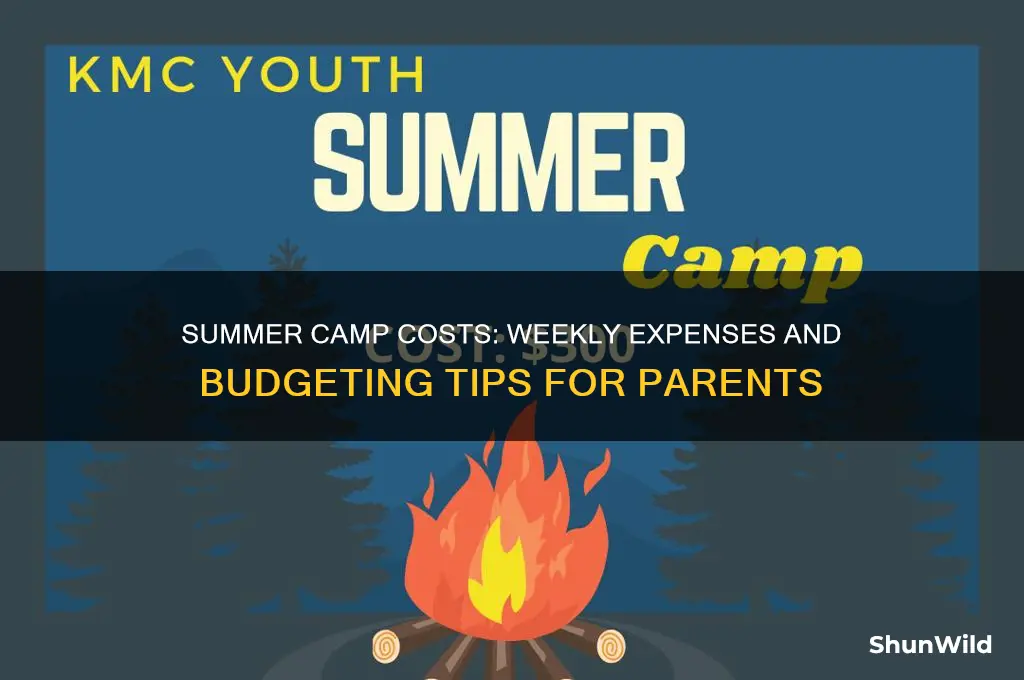 how much does a week of summer camp cost