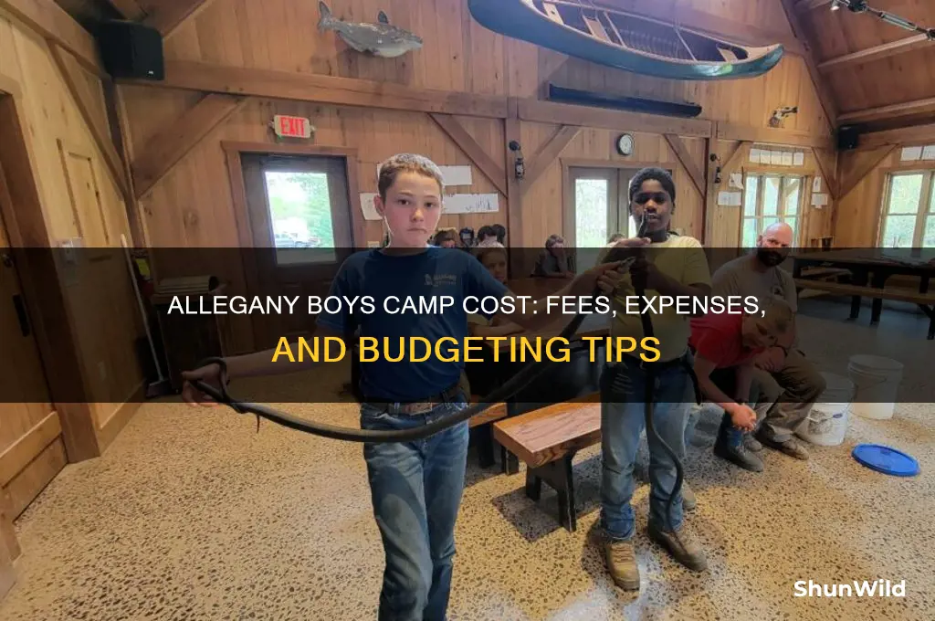 how much does allegany boys camp cost