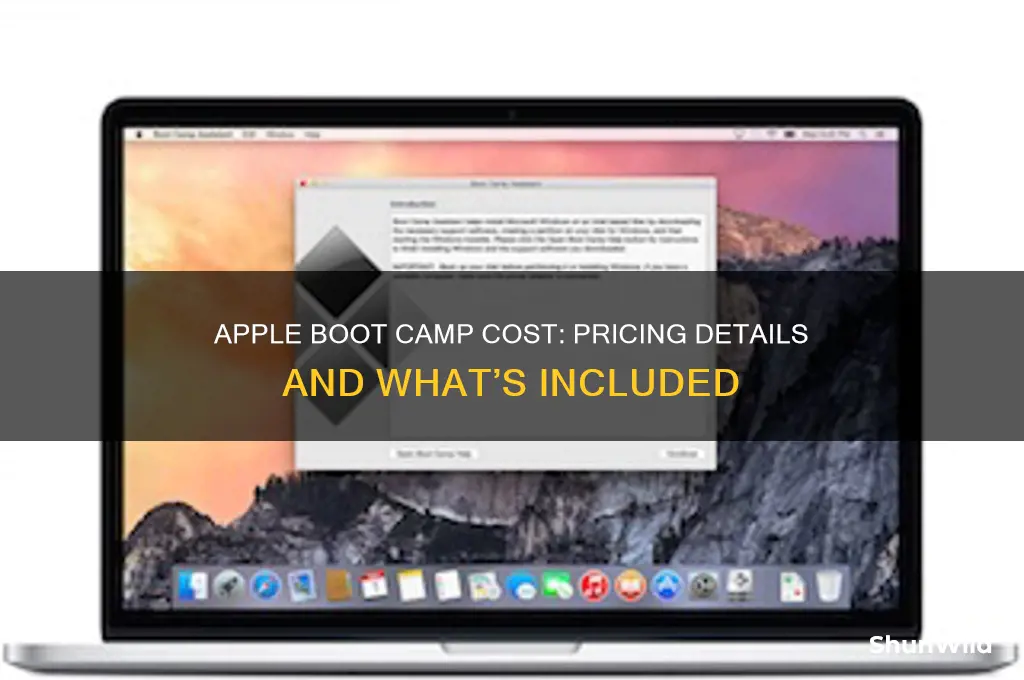 how much does apple boot camp cost