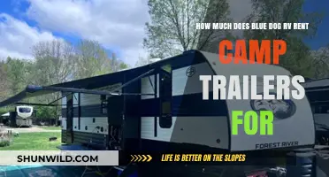 Blue Dog RV Camp Trailer Rental Prices: What to Expect
