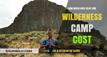 Blue Fire Wilderness Camp Cost: Pricing Details and Value Breakdown