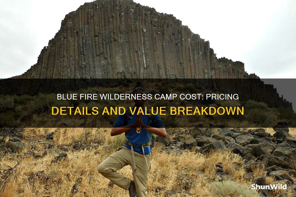 how much does blue fire wilderness camp cost