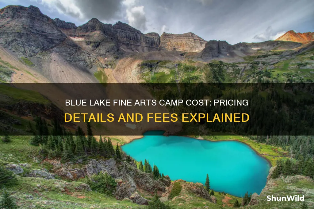 how much does blue lake fine arts camp cost