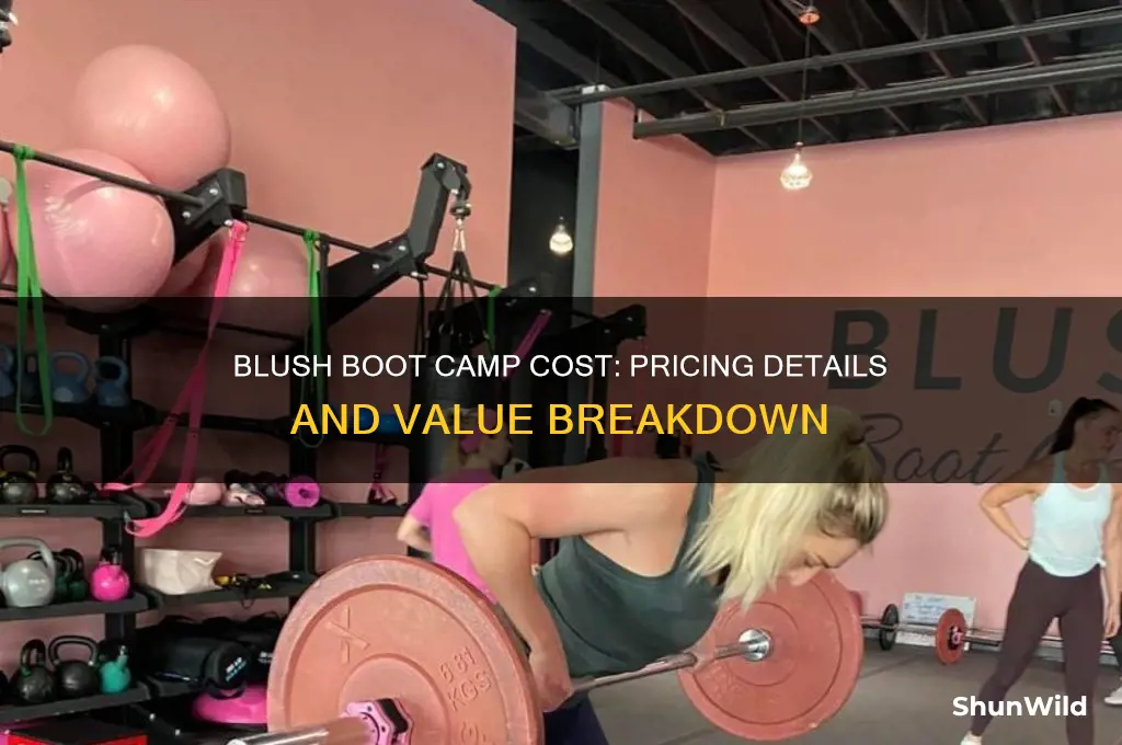 how much does blush boot camp cost