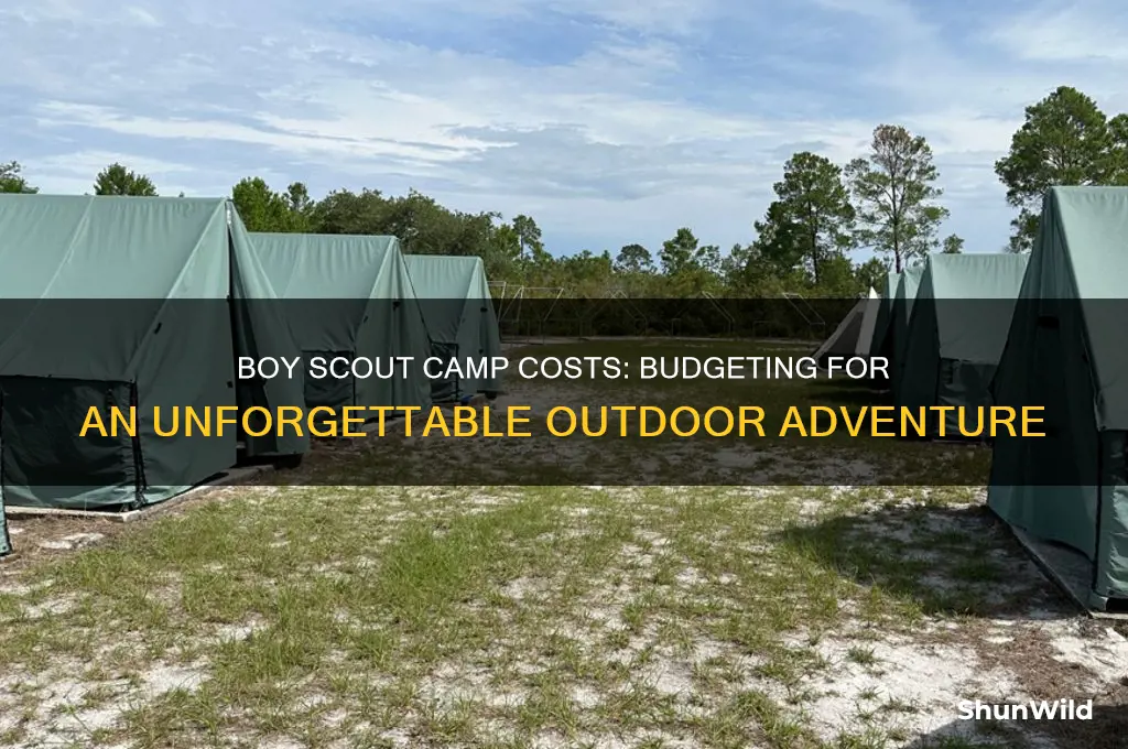 how much does boy scout camp cost