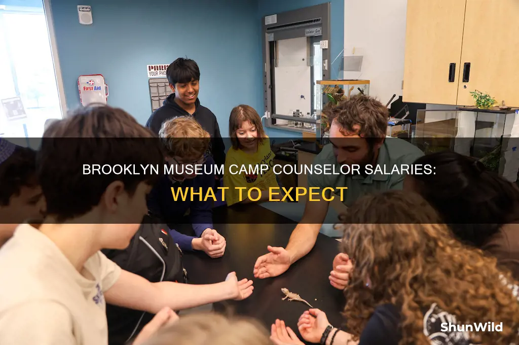 how much does brooklyn museum pay camp counselors