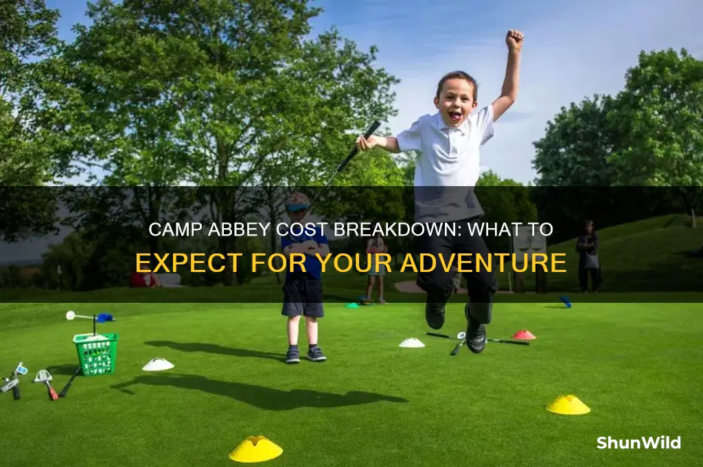 how much does camp abbey cost