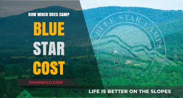 Camp Blue Star Cost: Fees, Expenses, and Budgeting Tips Revealed