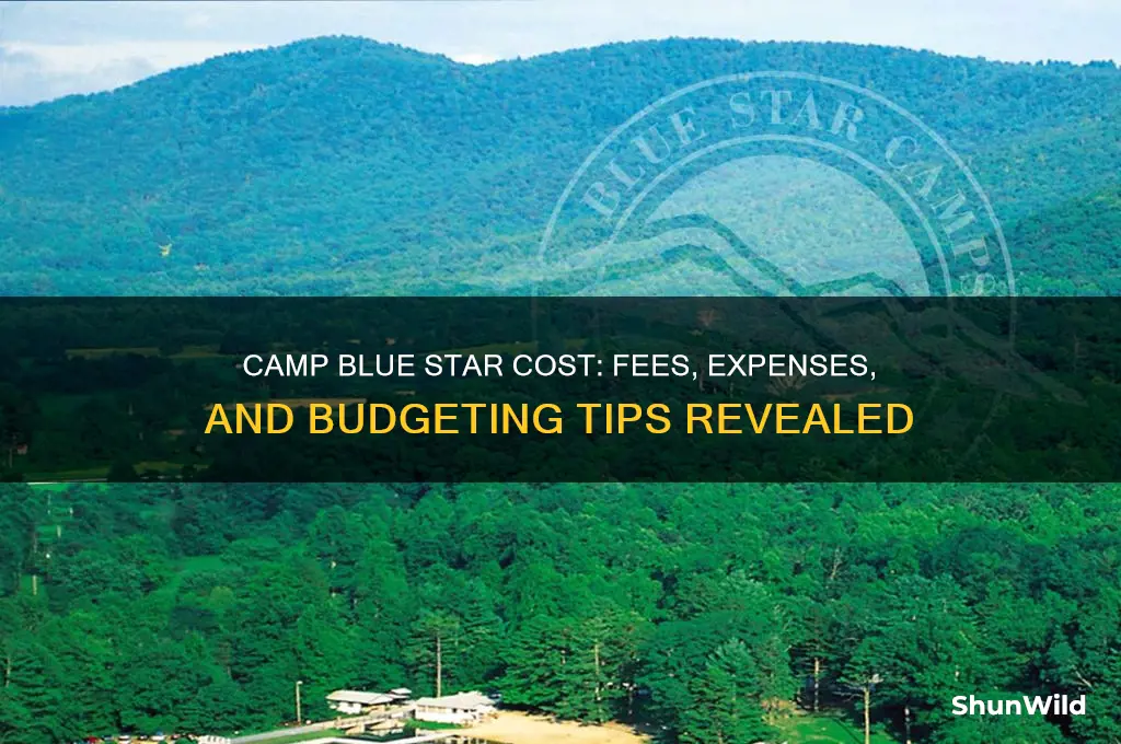 how much does camp blue star cost