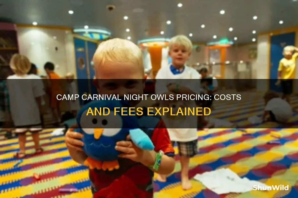 how much does camp carnival night owls cost