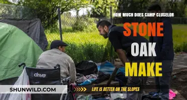 Camp Cluselor Stone Oak Revenue: Uncovering the Financial Success