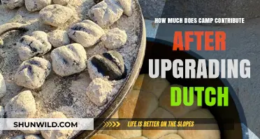 Upgrading Dutch: Camp's Enhanced Contribution and Impact Explained