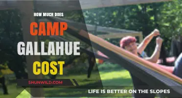 Camp Gallahue Cost Breakdown: What to Expect for Your Adventure