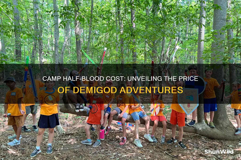 how much does camp half blood cost