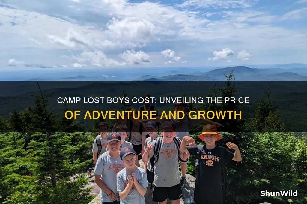 how much does camp lost boys cost