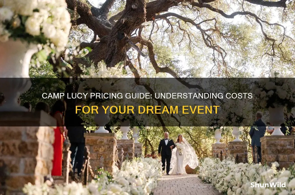 how much does camp lucy cost