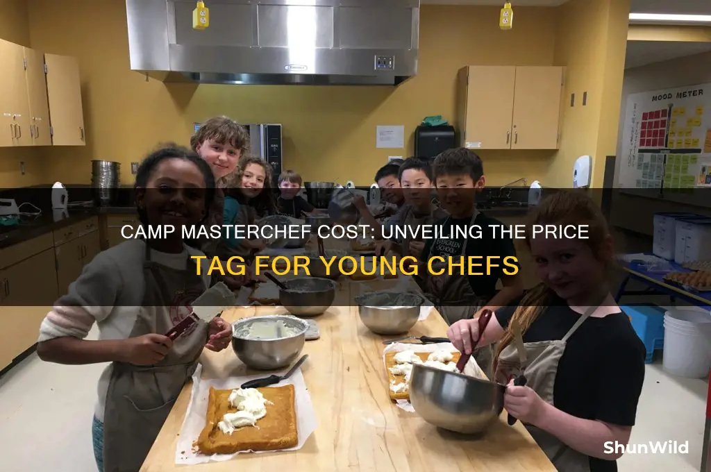 how much does camp masterchef cost