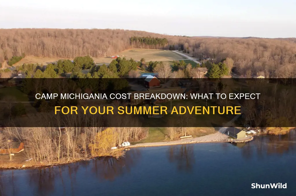 how much does camp michigania cost