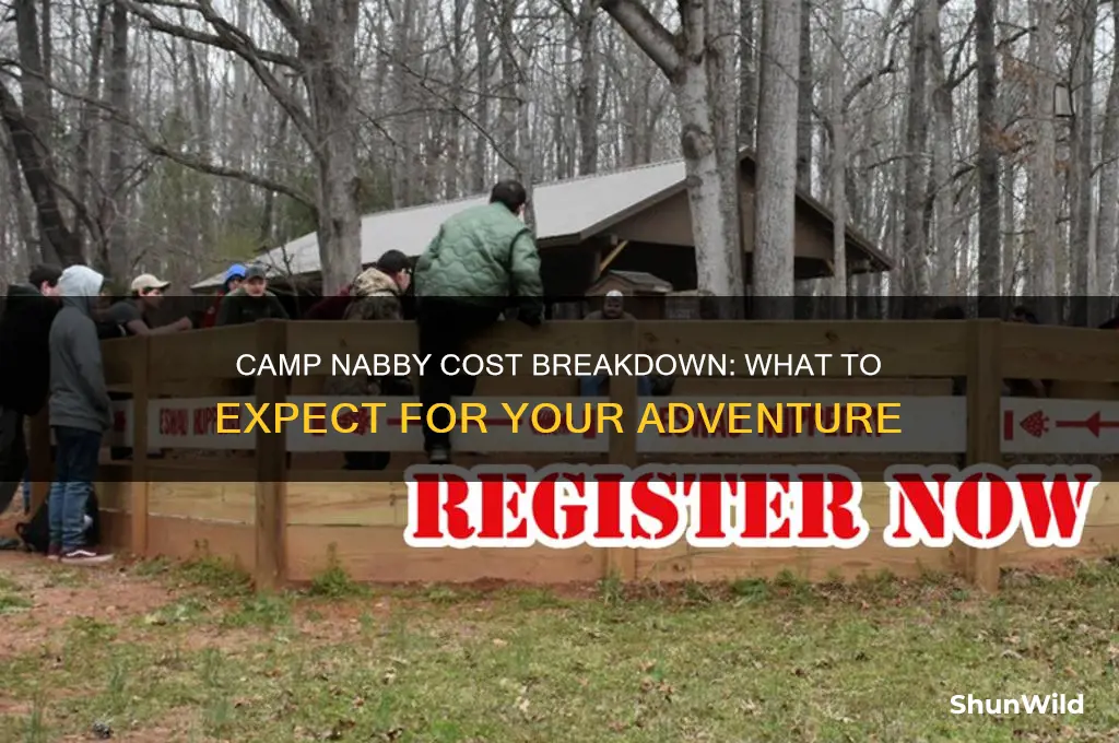 how much does camp nabby cost