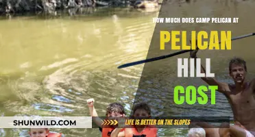 Camp Pelican at Pelican Hill: Unveiling the Cost of Luxury Retreats