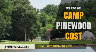 Camp Pinewood Cost: Unveiling Fees and Expenses for Your Adventure