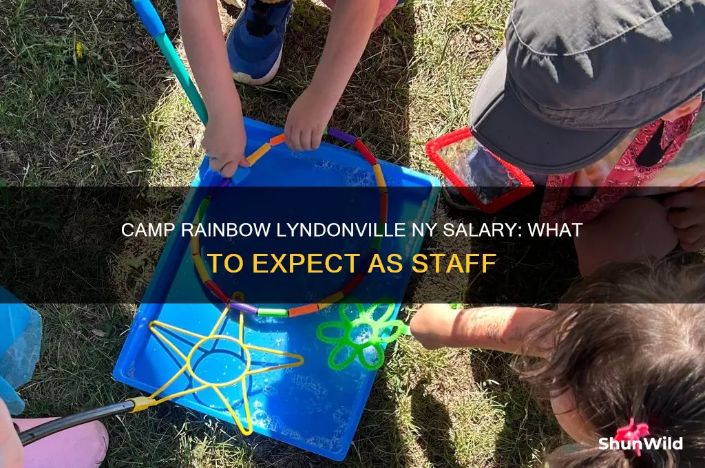 how much does camp rainbow in lyndonville ny pay