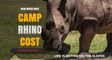 Camp Rhino Cost Breakdown: Pricing Details and Expenses Explained