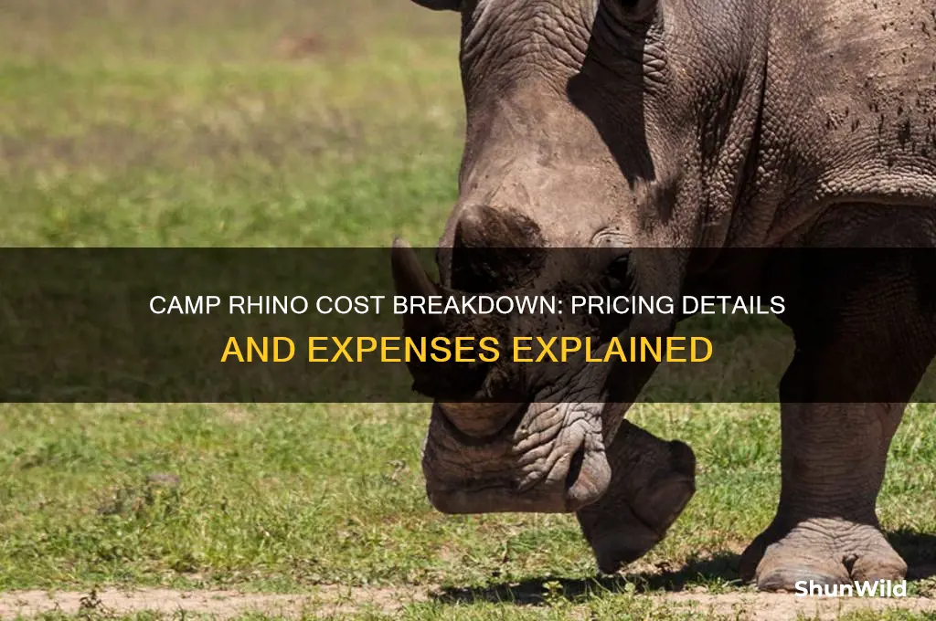 how much does camp rhino cost