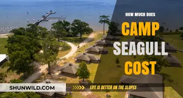 Camp Seagull Cost Breakdown: Fees, Expenses, and Budgeting Tips