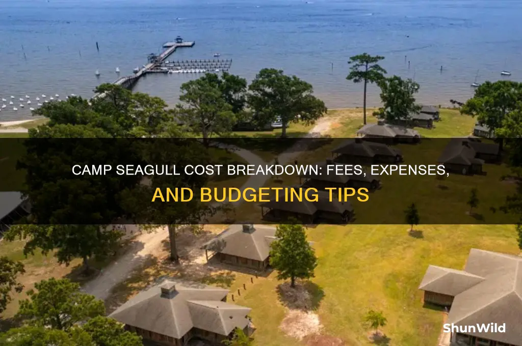 how much does camp seagull cost