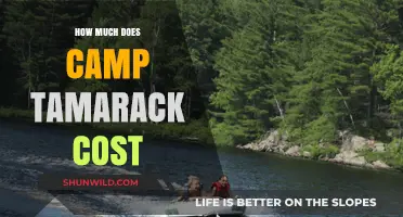 Camp Tamarack Cost Breakdown: Fees, Expenses, and Budgeting Tips