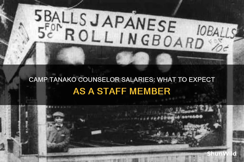 how much does camp tanako pay counselors