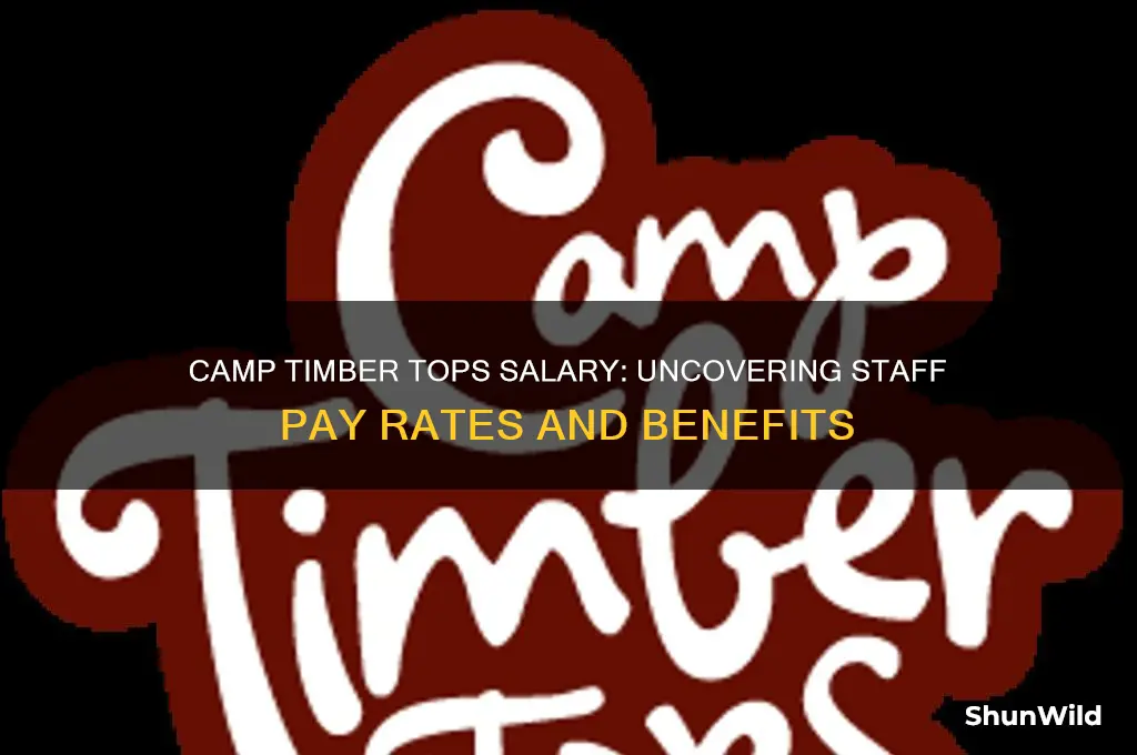 how much does camp timber tops pay