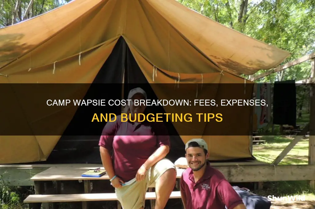 how much does camp wapsie cost