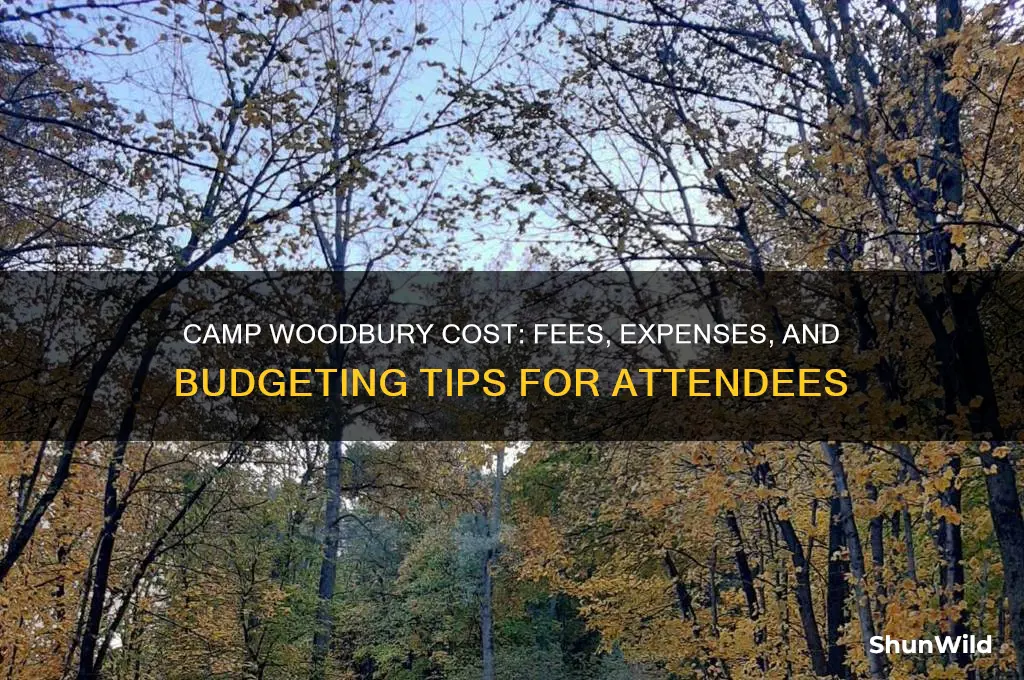 how much does camp woodbury cost