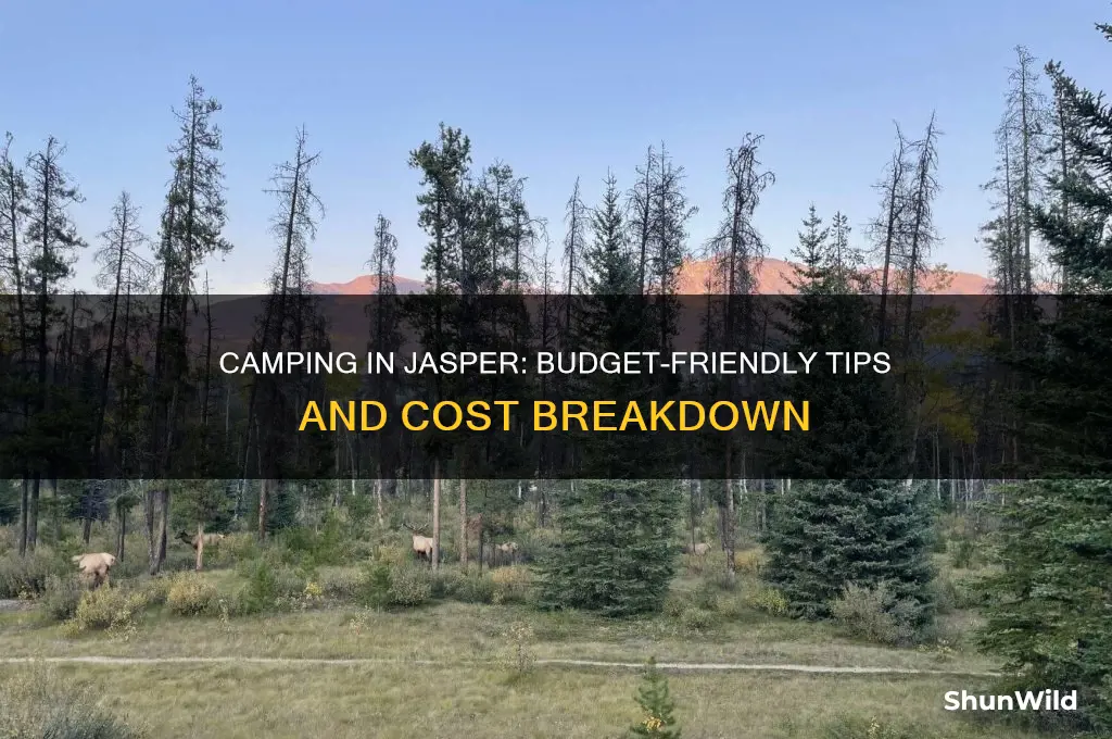 how much does camping cost in jasper
