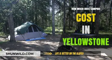 Camping in Yellowstone: Budget-Friendly Tips and Cost Breakdown