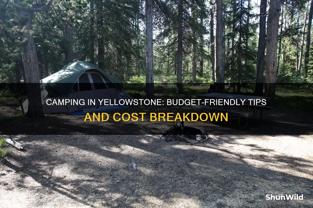how much does camping cost in yellowstone