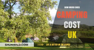 Budget-Friendly Camping in the UK: Costs and Money-Saving Tips