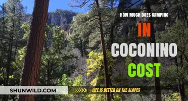 Coconino Camping Costs: Budget-Friendly Tips for Your Outdoor Adventure