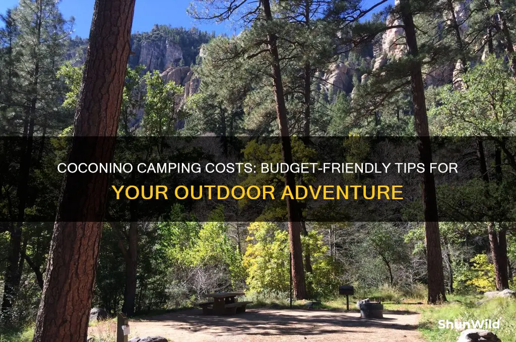 how much does camping in coconino cost