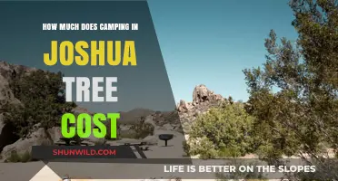 Camping in Joshua Tree: Cost Breakdown and Budget Tips