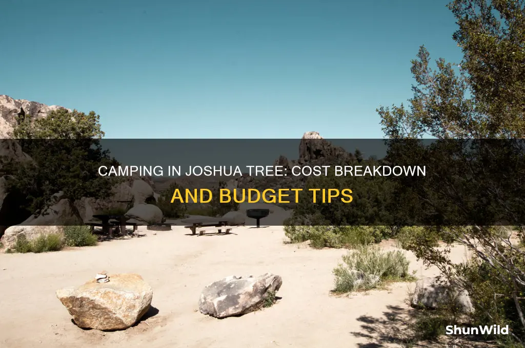how much does camping in joshua tree cost