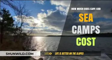 Cape Cod Sea Camps Cost: Pricing Guide for Summer Adventures